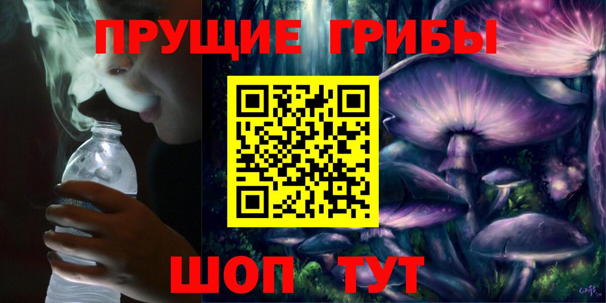 Псилоцибиновые грибы Psilocybe  что такое   Чебоксары  Вход с VPN 